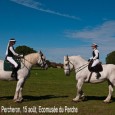 Ne manquez pas la fête du cheval Percheron, « le Percheron, un trait arabe ! », qui se tiendra à l’écomusée du Perche le jeudi 15 août prochain, de 10h à 18h30....