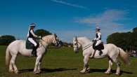 Ne manquez pas la fête du cheval Percheron, « le Percheron, un trait arabe ! », qui se tiendra à l’écomusée du Perche le jeudi 15 août prochain, de 10h à 18h30....