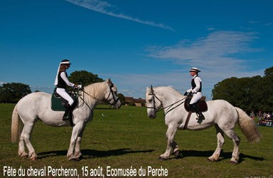 Ne manquez pas la fête du cheval Percheron, « le Percheron, un trait arabe ! », qui se tiendra à l’écomusée du Perche le jeudi 15 août prochain, de 10h à 18h30....